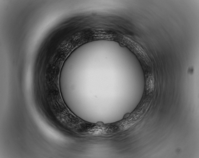 X0000101160764200807111028