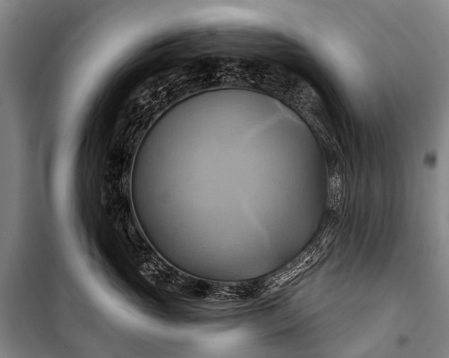 X0000101160765200807111028