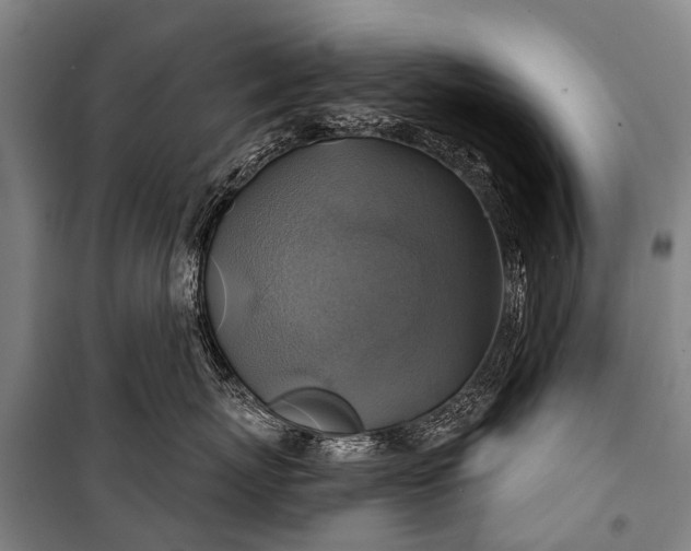 X0000101160767200807111028