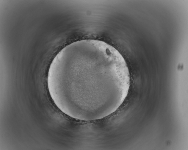 X0000101160769200807111028