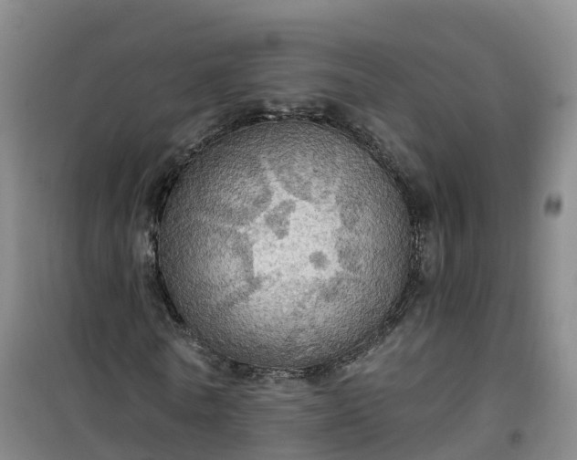 X0000101160770200807111028