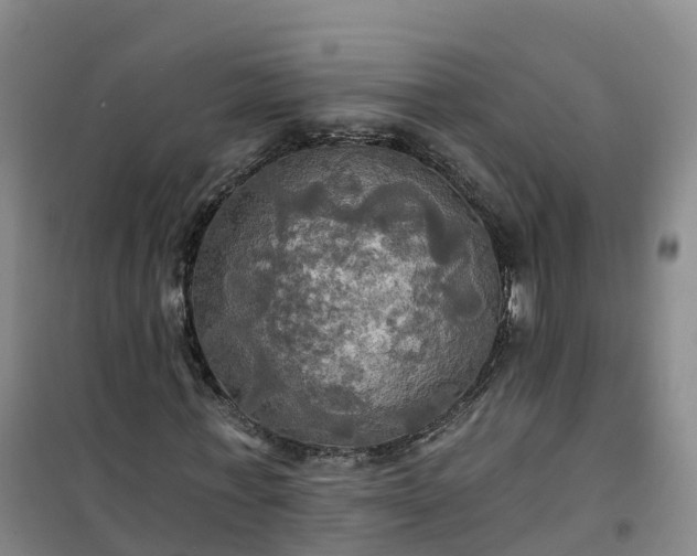 X0000101160771200807111028