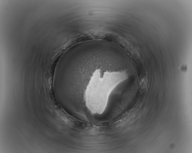 X0000101160772200807111028