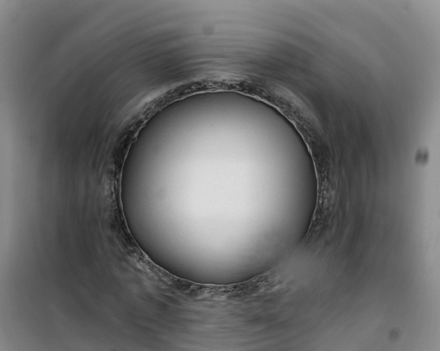 X0000101160773200807111028