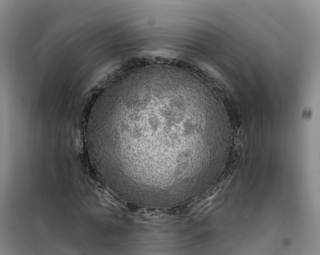 X0000101160774200807111028