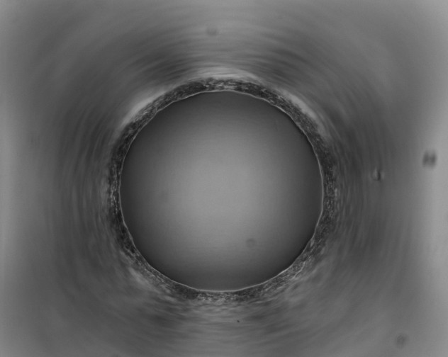 X0000101160775200807111028