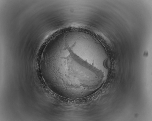 X0000101160776200807111028