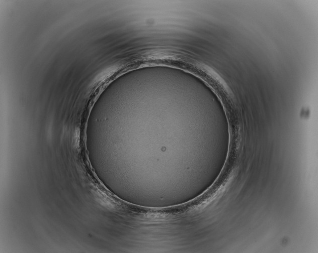 X0000101160777200807111028