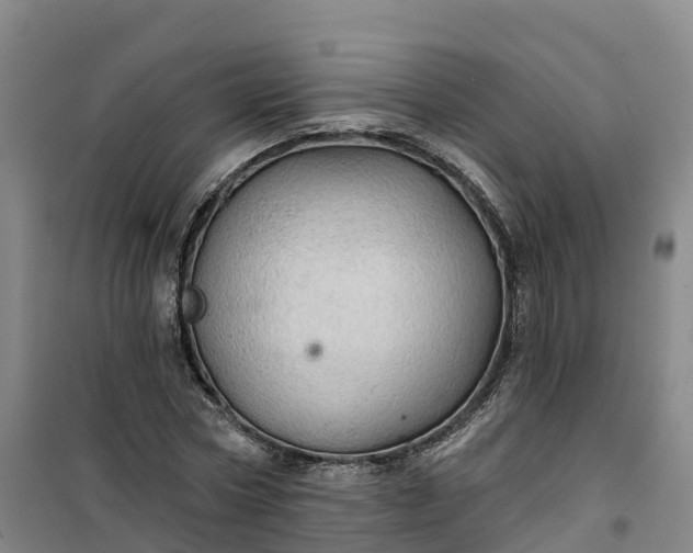 X0000101160778200807111028