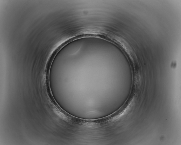 X0000101160779200807111028