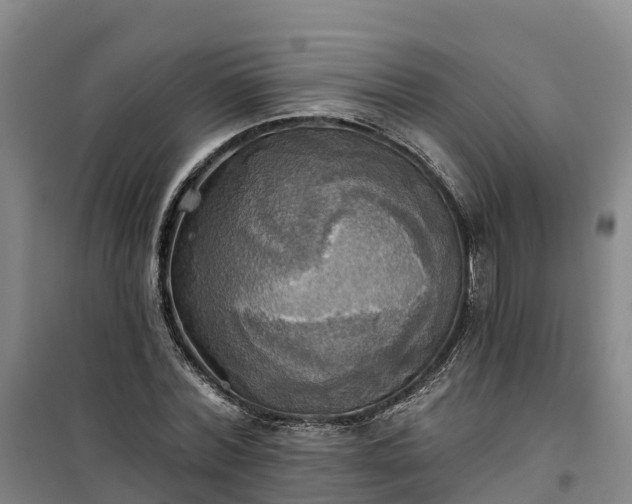 X0000101160780200807111028