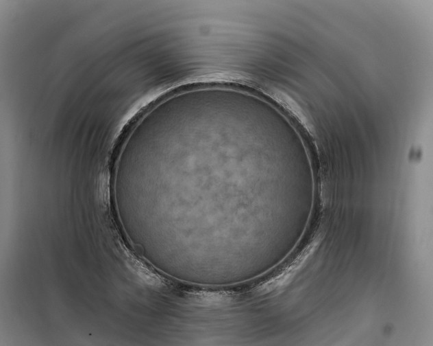 X0000101160781200807111027