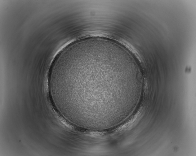 X0000101160782200807111027