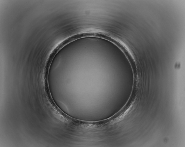 X0000101160783200807111027