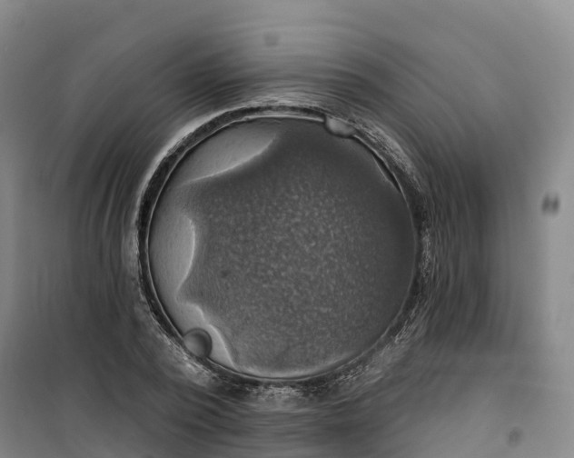 X0000101160784200807111027