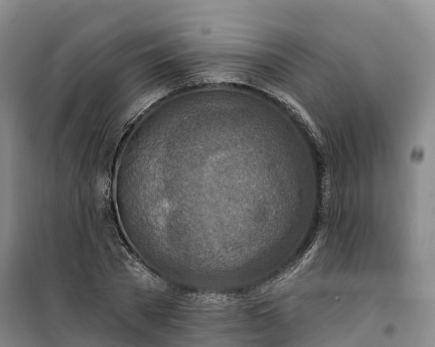 X0000101160785200807111027