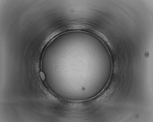 X0000101160786200807111027