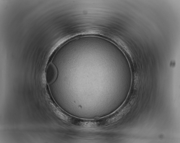 X0000101160789200807111027