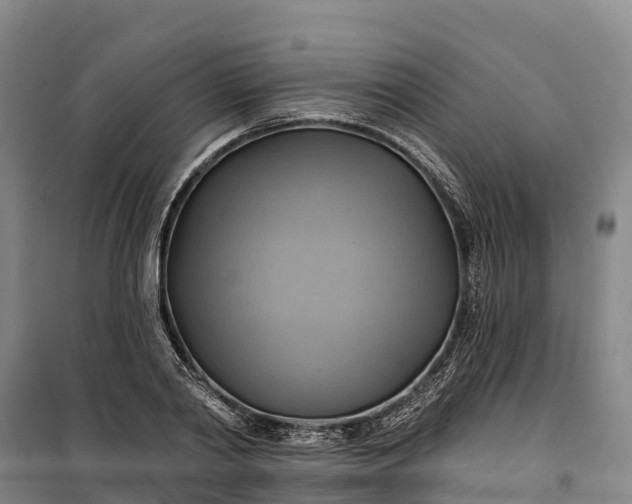 X0000101160790200807111027