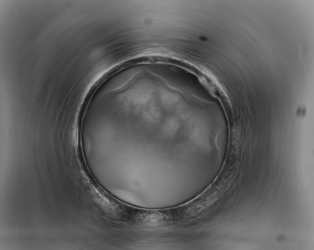 X0000101160791200807111027