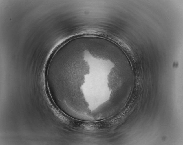 X0000101160792200807111027