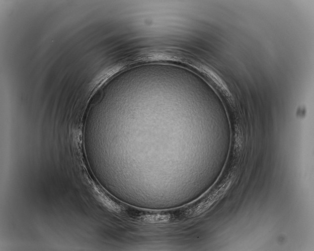 X0000101160793200807111027