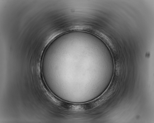 X0000101160794200807111027