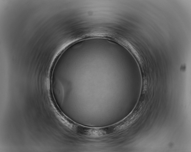 X0000101160795200807111027