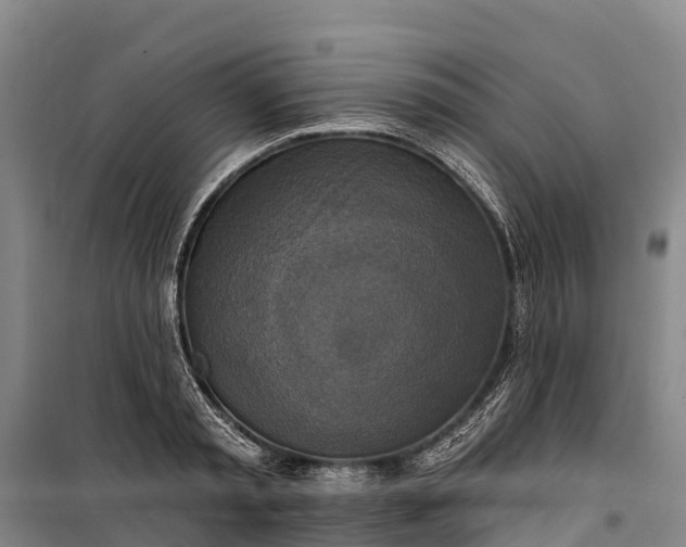 X0000101160797200807111027