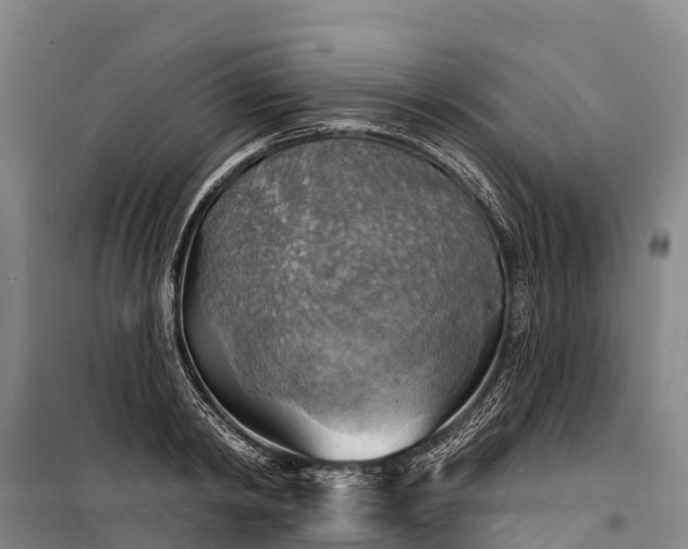 X0000101160798200807111027