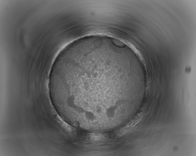 X0000101160799200807111027