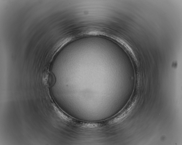 X0000101160801200807111027