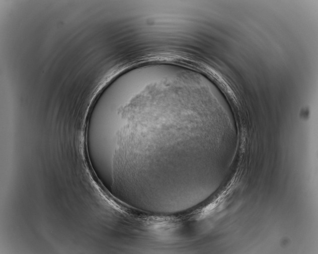 X0000101160802200807111027