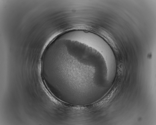 X0000101160804200807111027