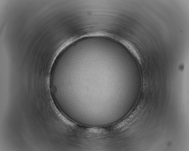 X0000101160805200807111027