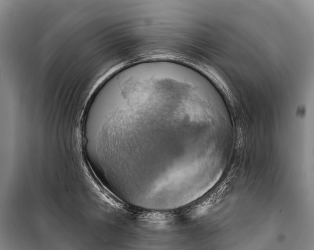 X0000101160806200807111027