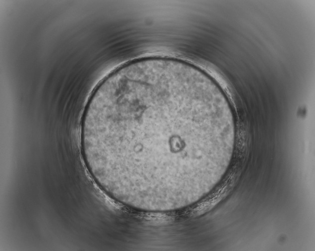 X0000101160807200807111027