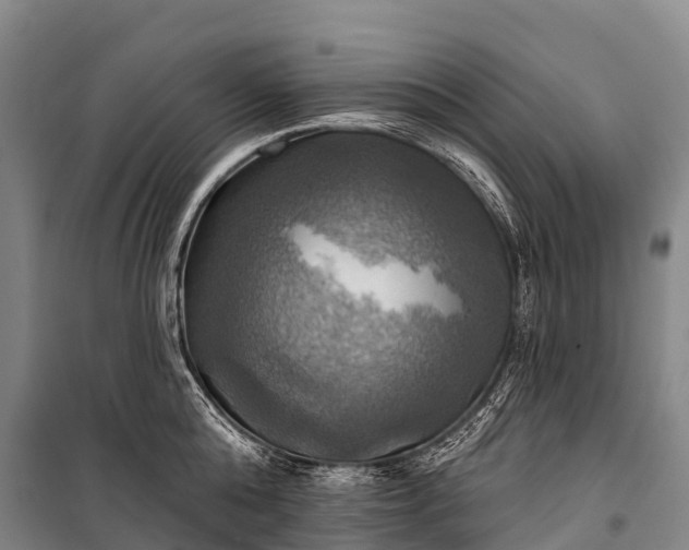 X0000101160808200807111027