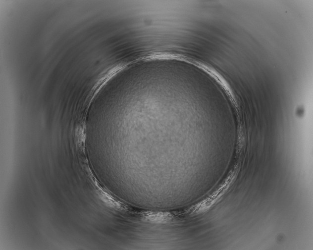 X0000101160809200807111027