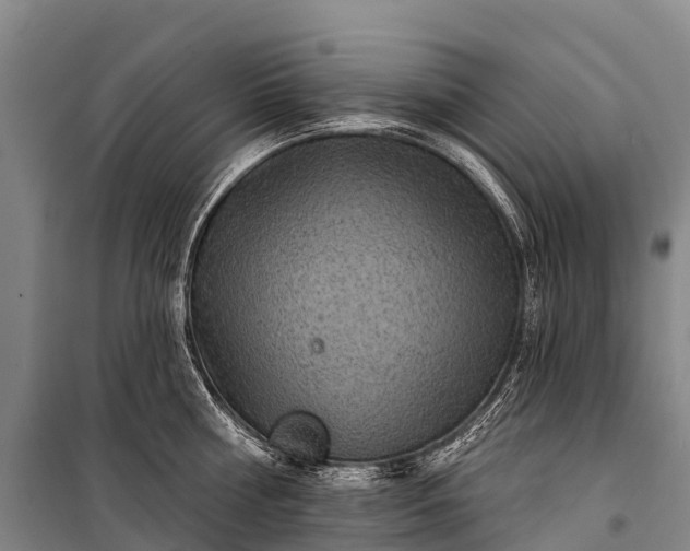 X0000101160810200807111027