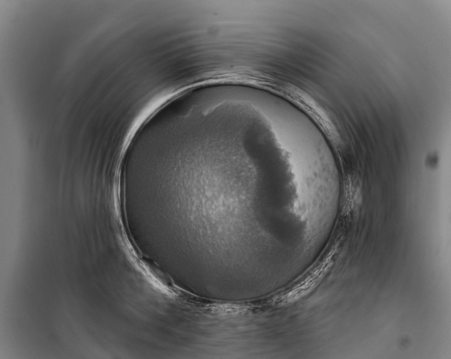 X0000101160812200807111027