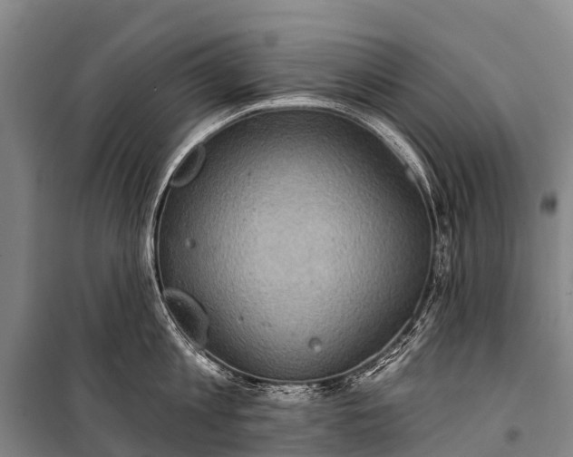 X0000101160813200807111027