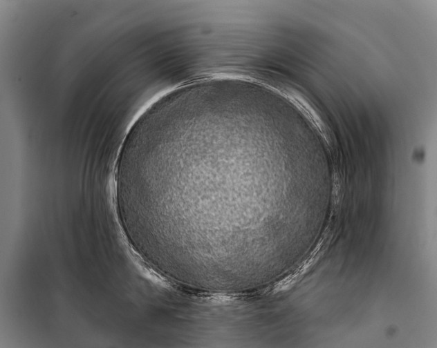 X0000101160814200807111027