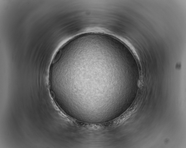 X0000101160815200807111027