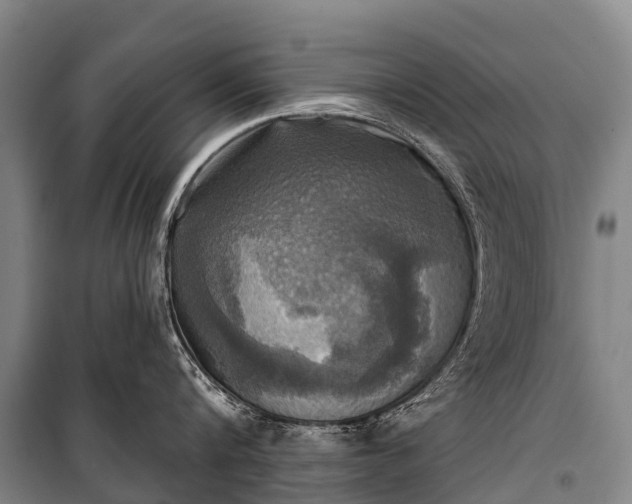 X0000101160816200807111027