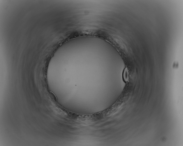 X0000101160817200807111026