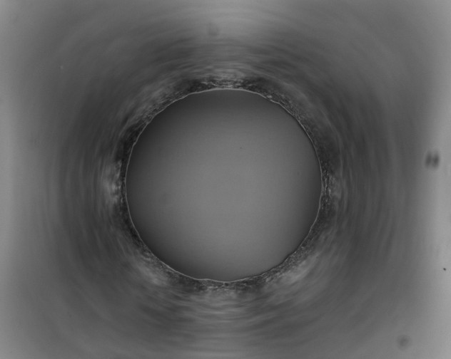 X0000101160818200807111026