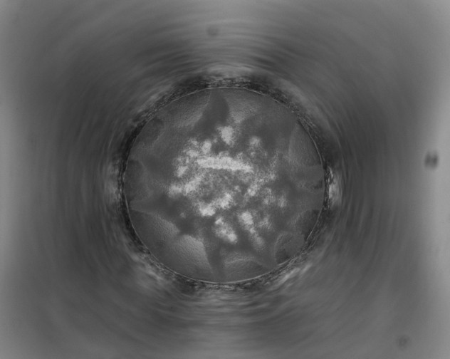 X0000101160819200807111026