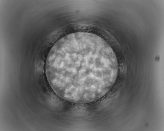 X0000101160820200807111026