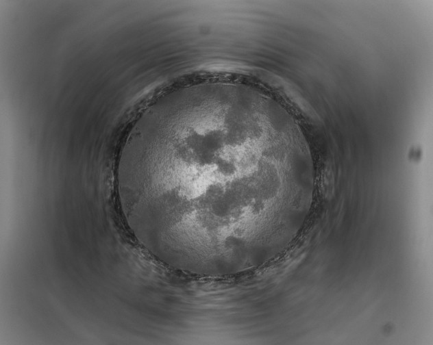 X0000101160821200807111026